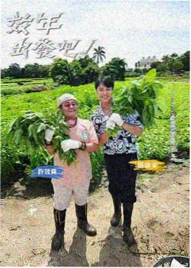最强大脑